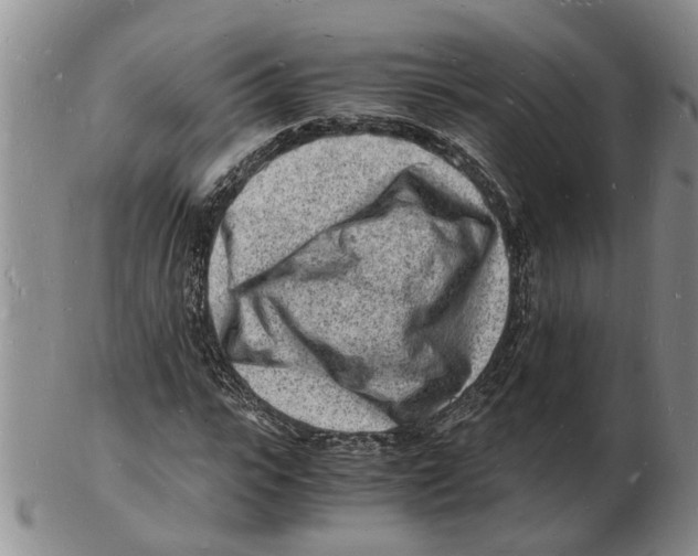 X0000102780919200809151059