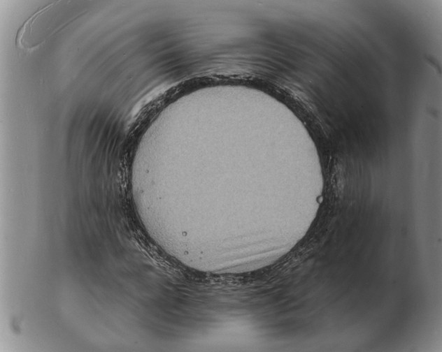 X0000102780920200809151059