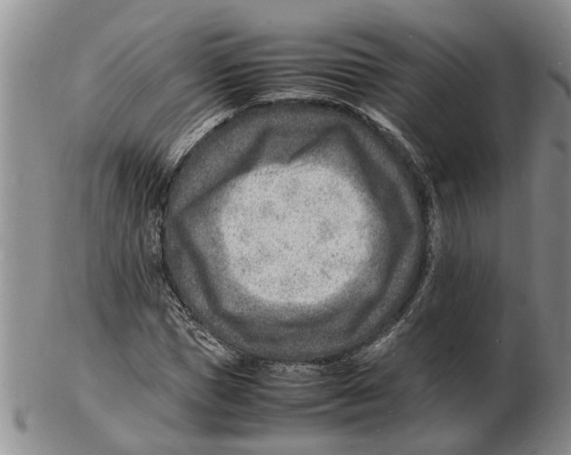 X0000102780921200809151059