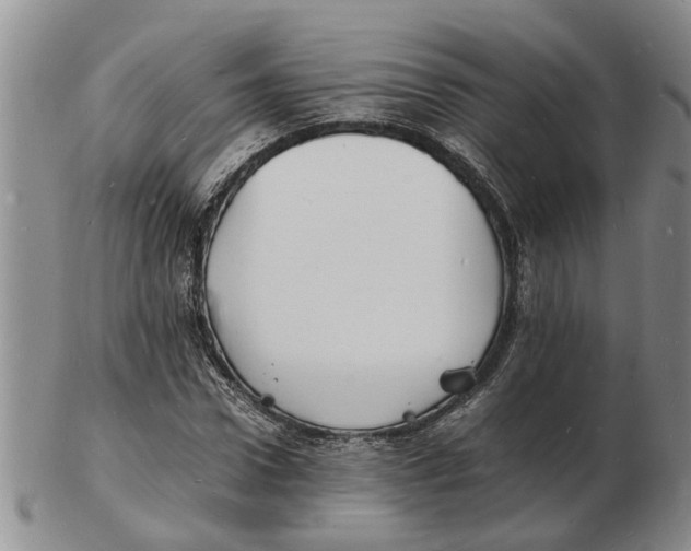 X0000102780922200809151059