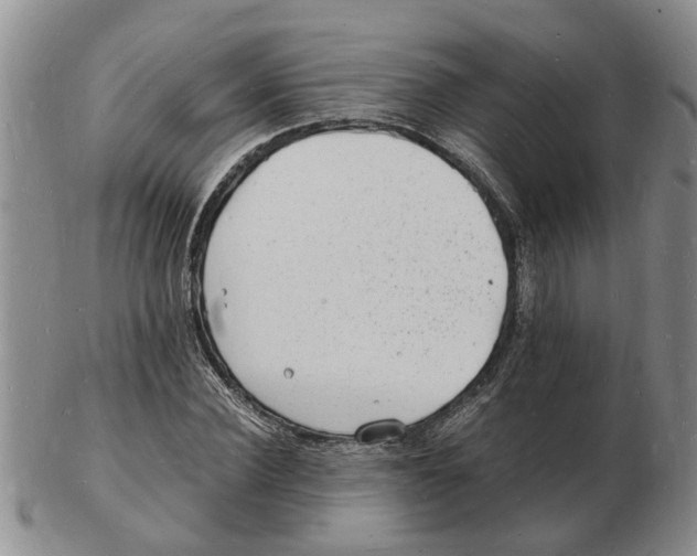 X0000102780924200809151059