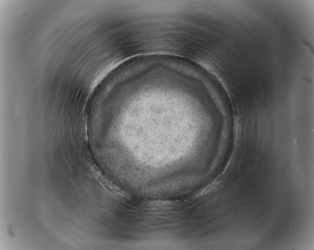 X0000102780925200809151059