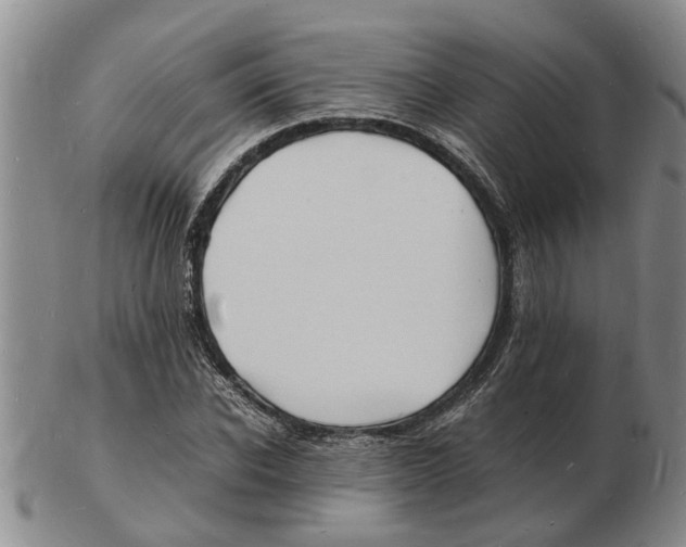 X0000102780926200809151059