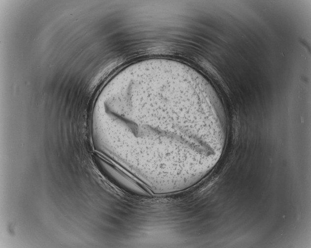 X0000102780930200809151059