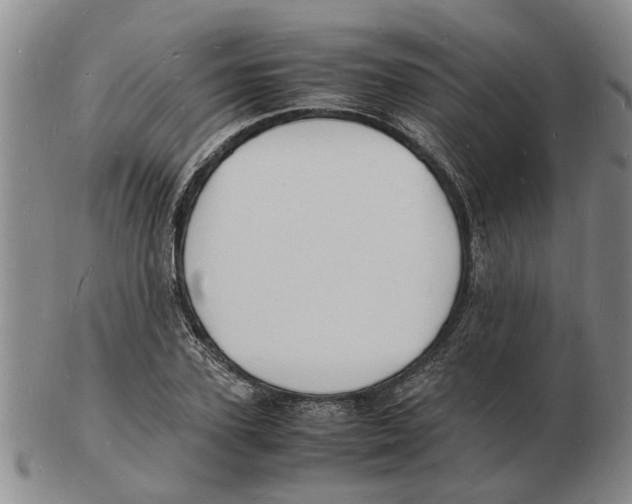 X0000102780931200809151059