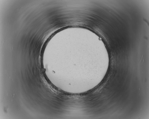 X0000102780932200809151059