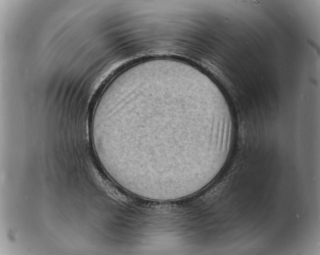 X0000102780934200809151059