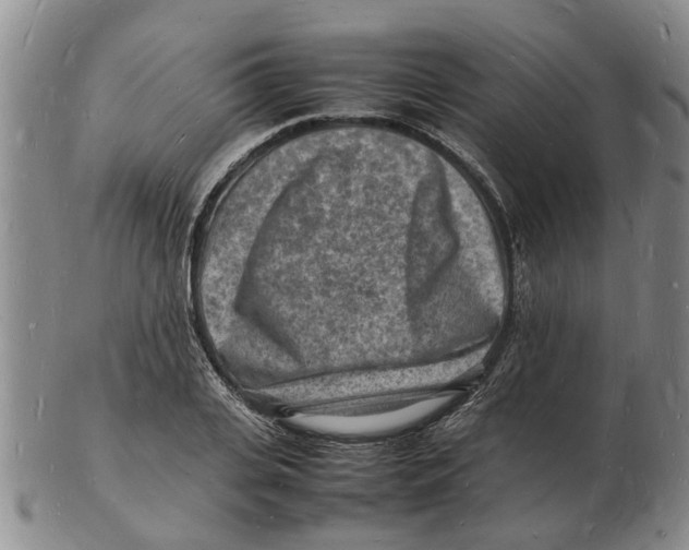 X0000102780935200809151059