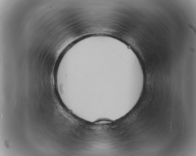 X0000102780936200809151059