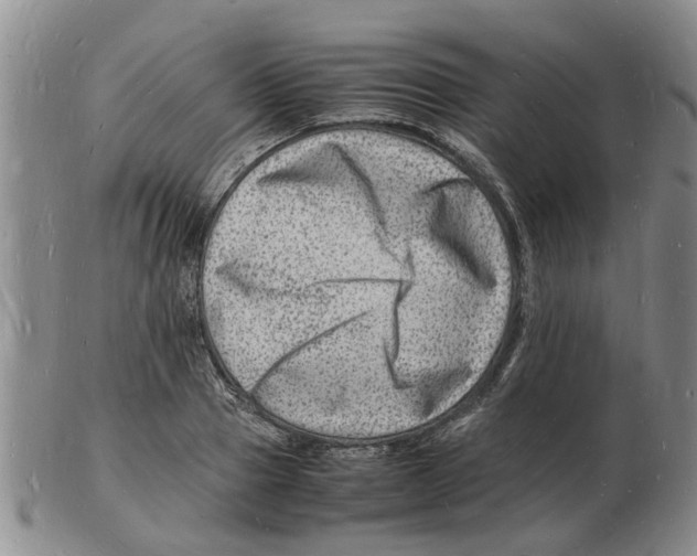 X0000102780937200809151059