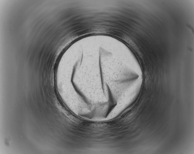 X0000102780939200809151059