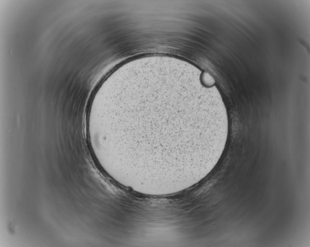 X0000102780940200809151059