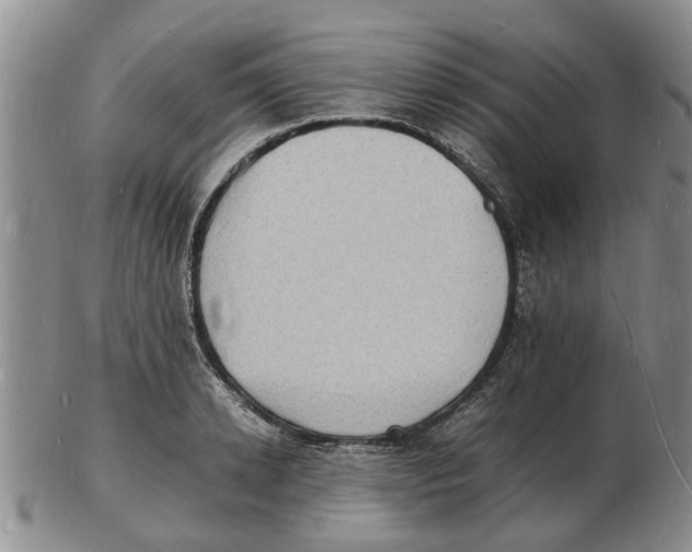 X0000102780942200809151059