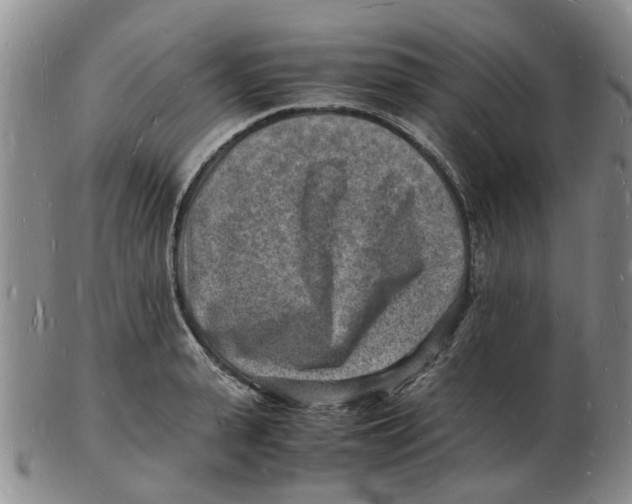 X0000102780943200809151059