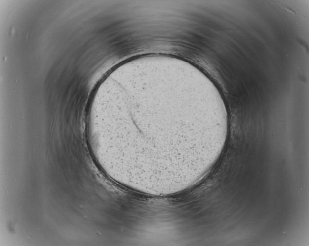 X0000102780944200809151059