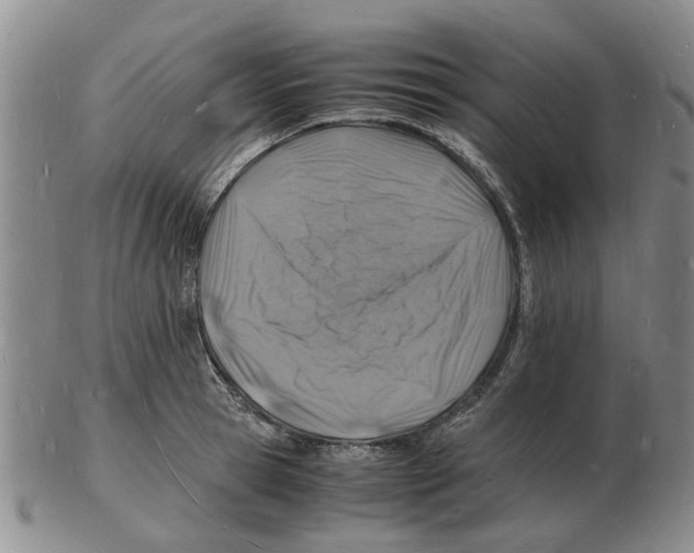 X0000102780945200809151059