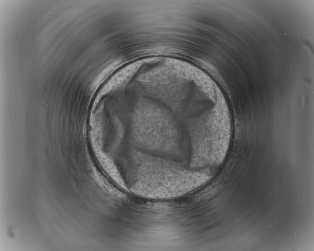 X0000102780946200809151059