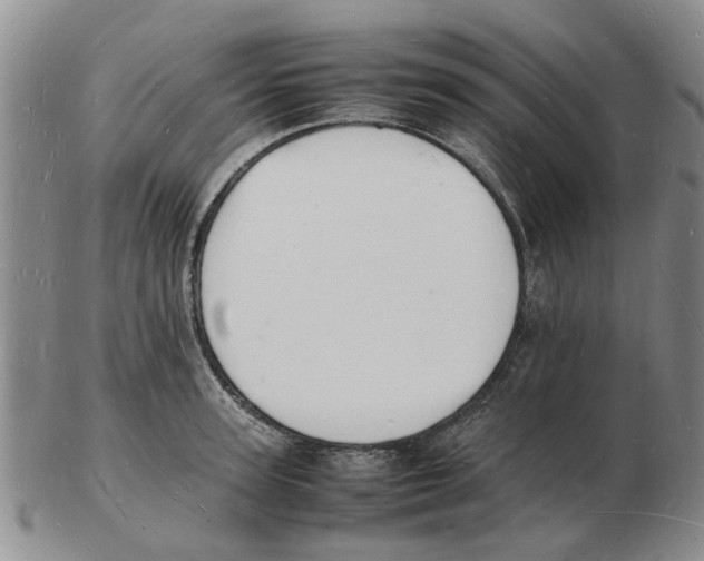 X0000102780947200809151059