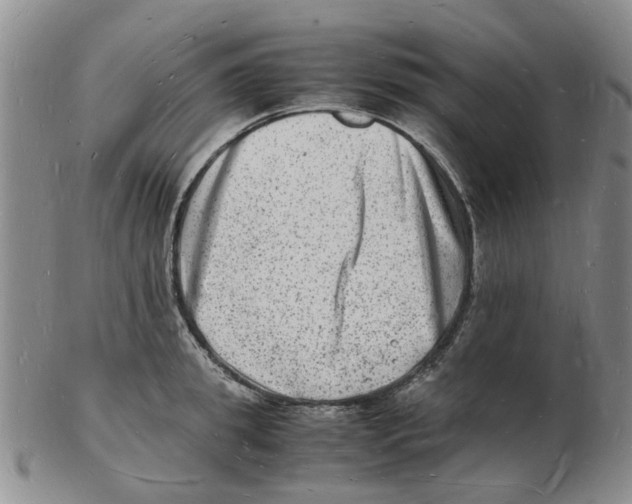 X0000102780949200809151059