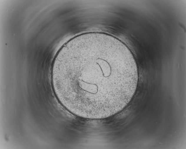 X0000102780950200809151059