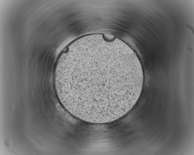 X0000102780952200809151059