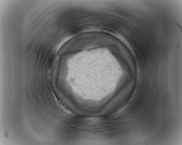 X0000102780953200809151059