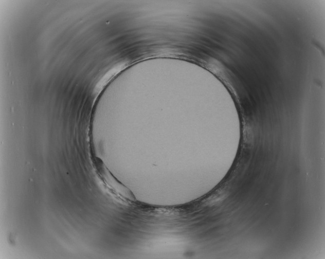 X0000102780954200809151059