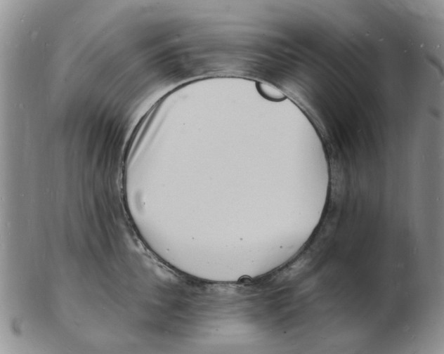 X0000102780956200809151100