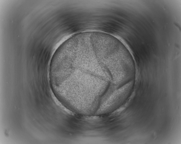 X0000102780957200809151100