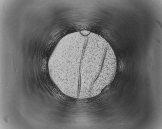 X0000102780964200809151059