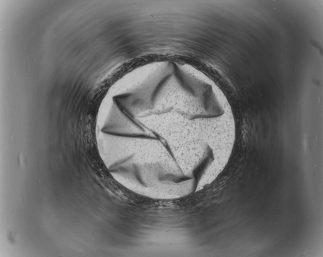 X0000102780968200809151059