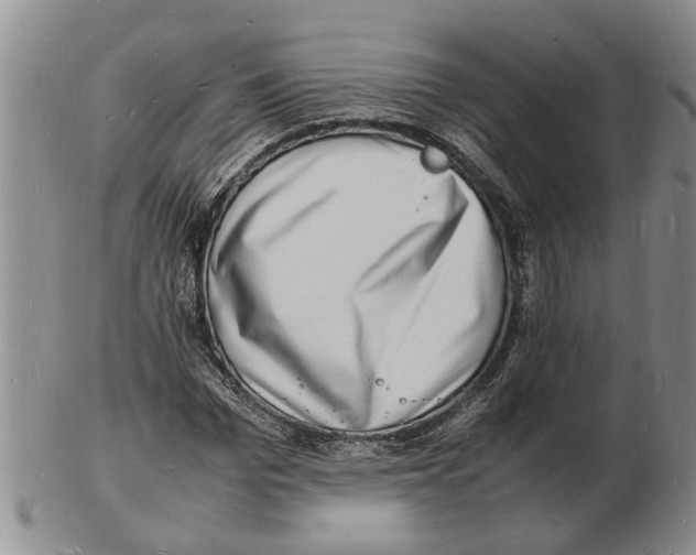 X0000102780969200809151059