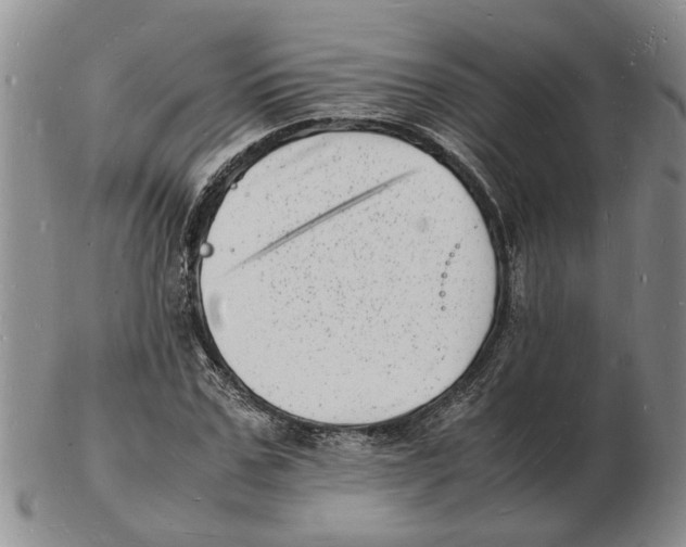 X0000102780971200809151059