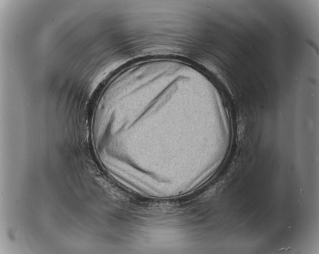 X0000102780973200809151059