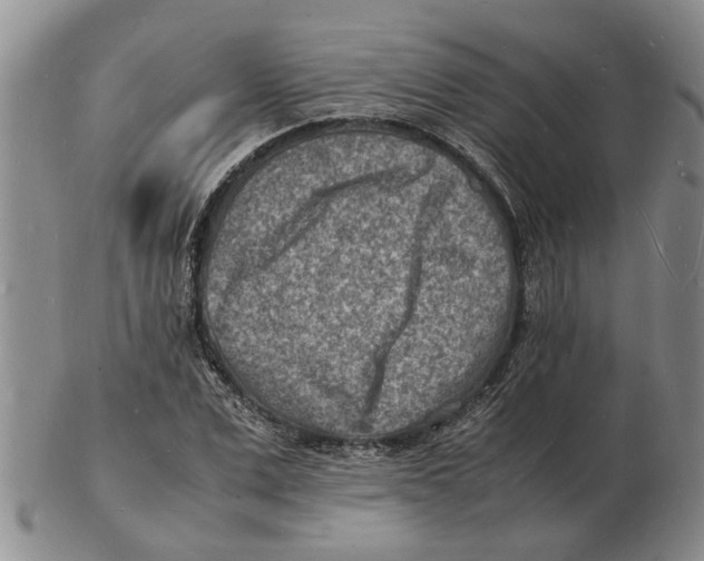 X0000102780975200809151059