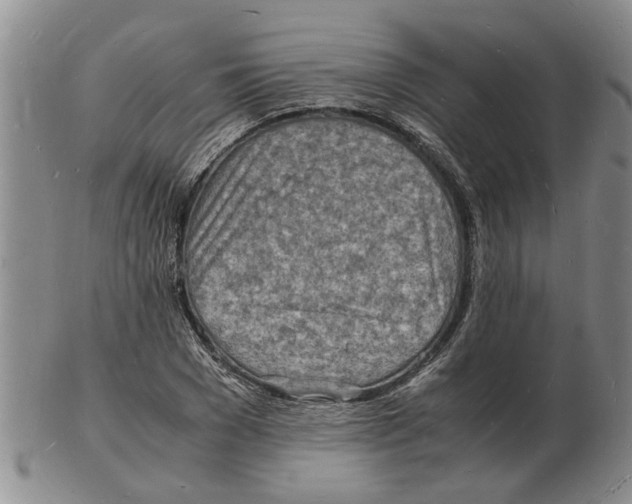 X0000102780977200809151059