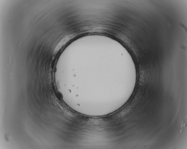 X0000102780978200809151059