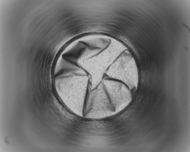 X0000102780980200809151059