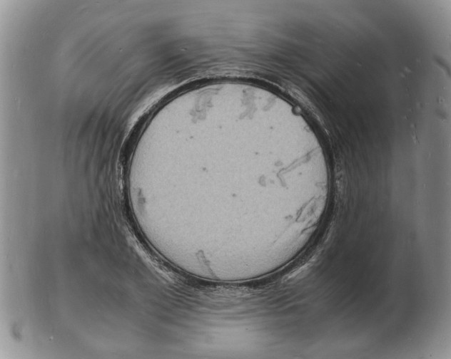 X0000102780981200809151059