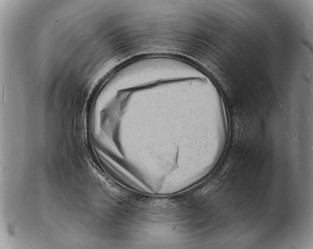 X0000102780982200809151059