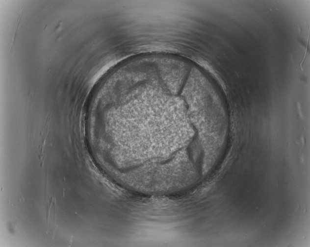 X0000102780983200809151059