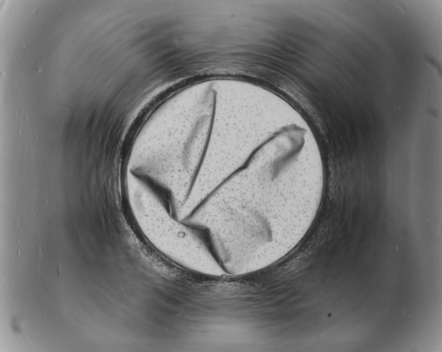 X0000102780984200809151059