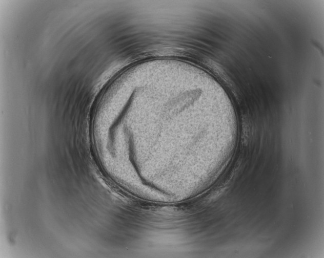 X0000102780986200809151059