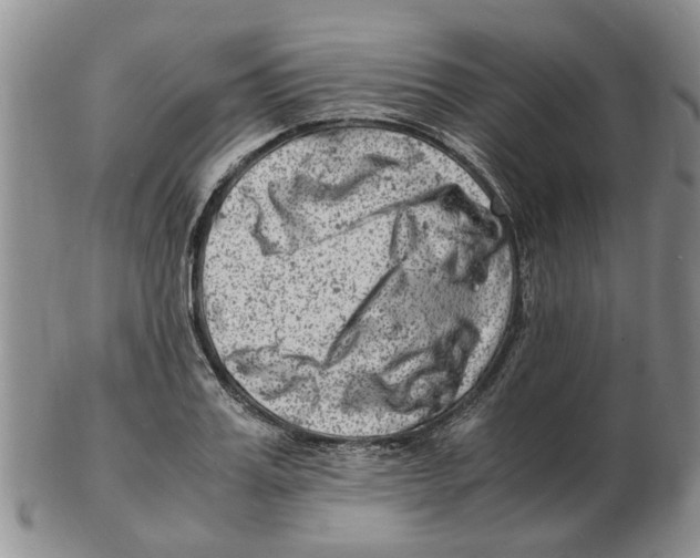 X0000102780987200809151059