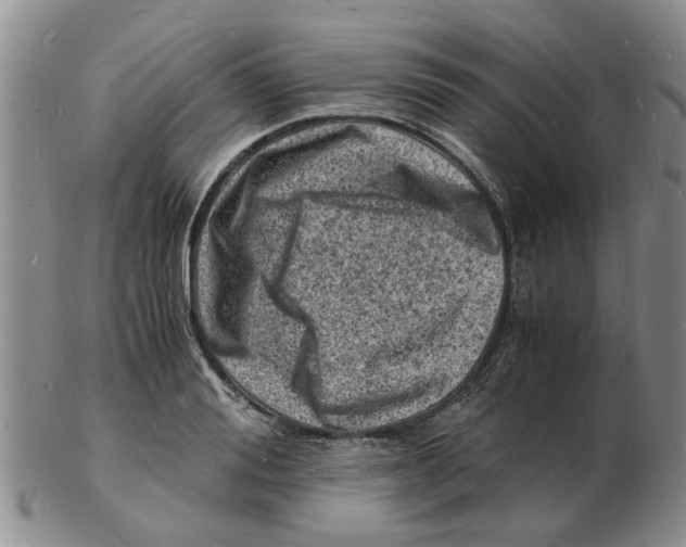 X0000102780988200809151059