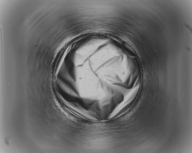 X0000102780989200809151059