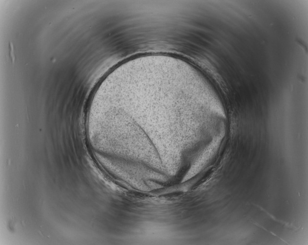 X0000102780990200809151058