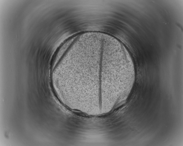 X0000102780992200809151058