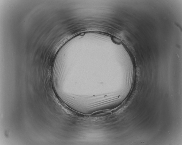 X0000102780993200809151058