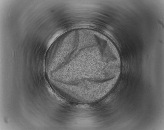 X0000102780994200809151058